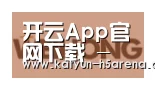 开云体育下载合作伙伴三